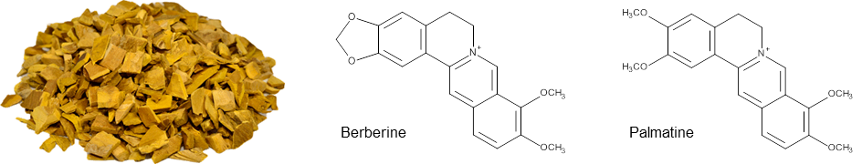 ベルベリン / Berberine