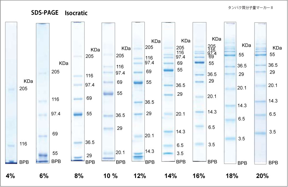 SDS-PAGE gel concentration