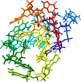 myoDN の立体構造 / Molecular structure of myoDN